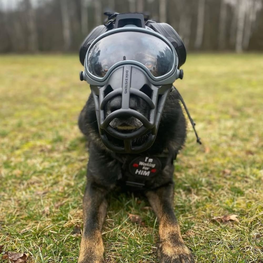 Black Friday - Wolf Grey Combo