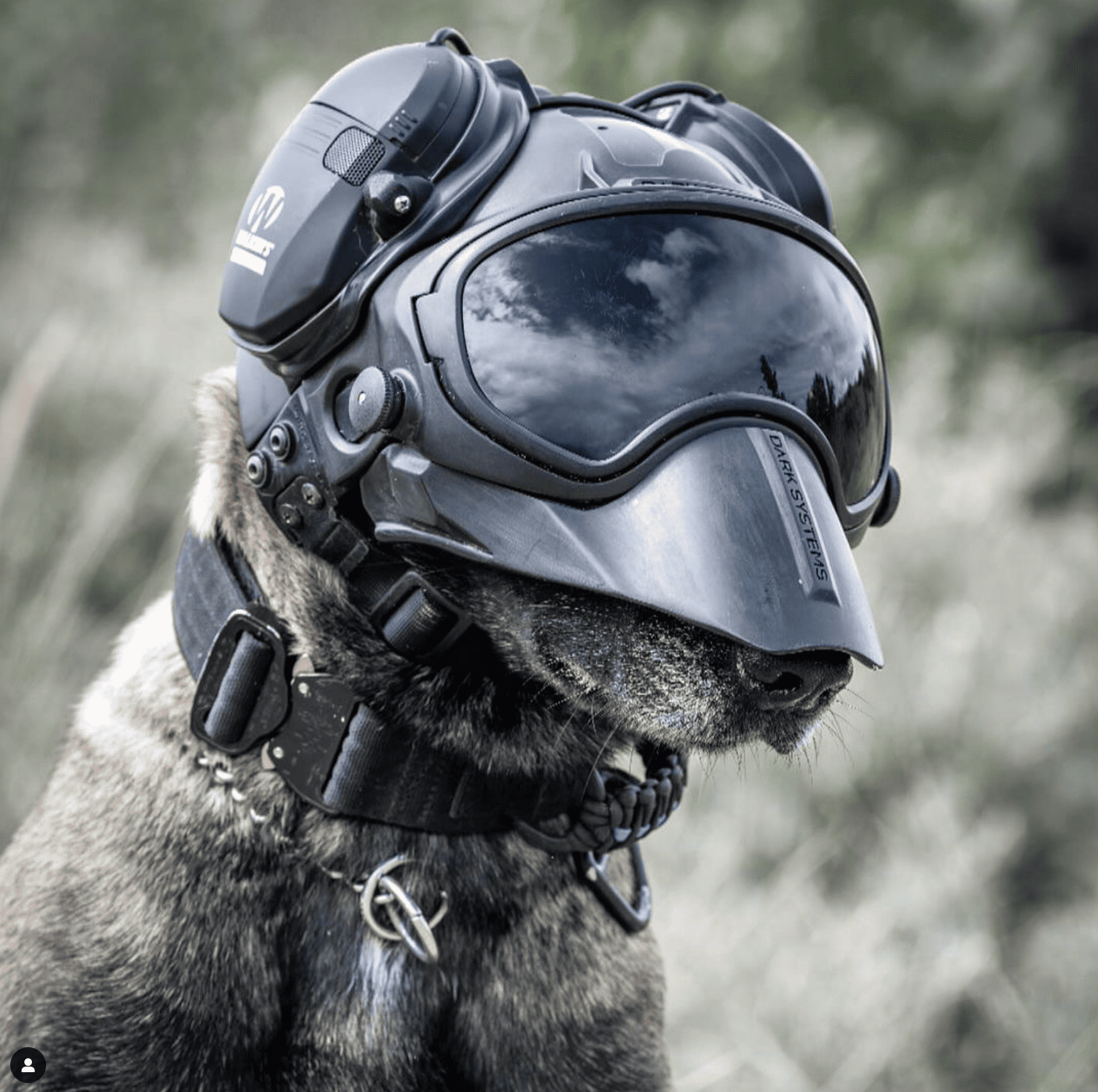 Black Friday - Black Combo 9 pieces