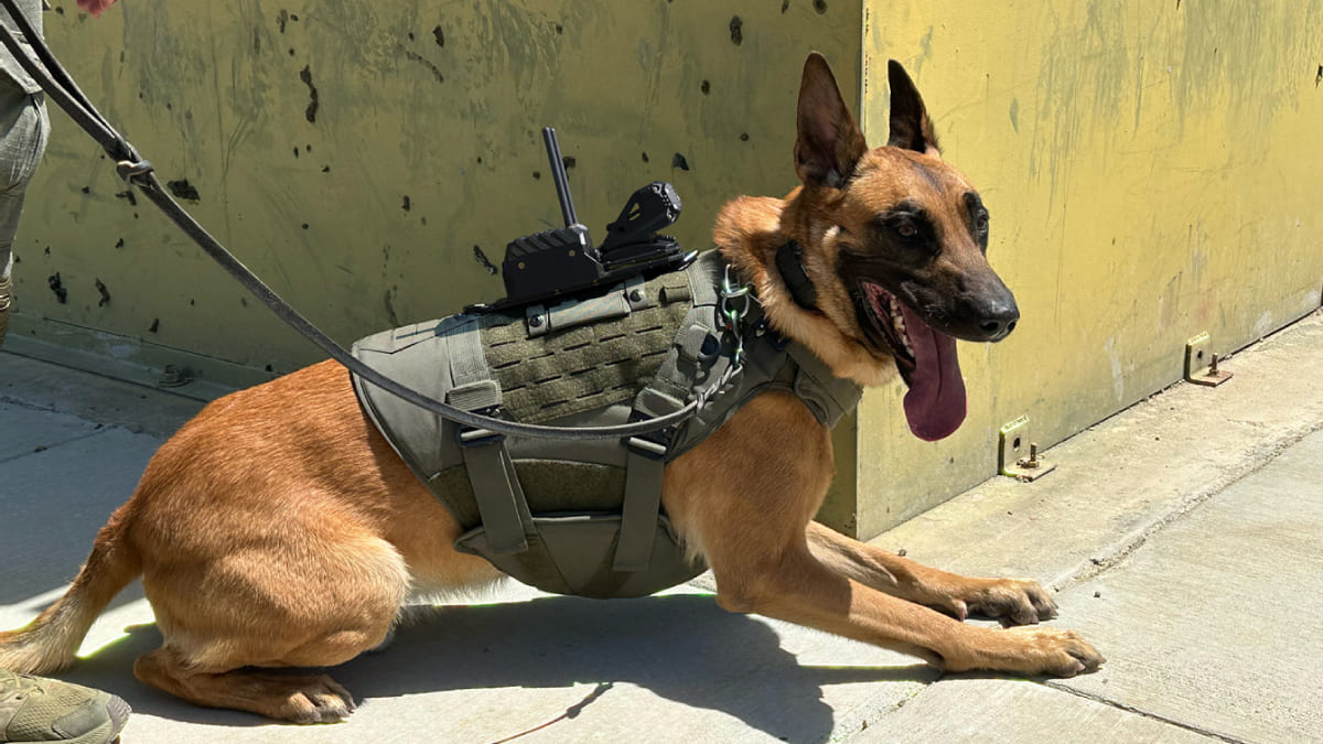 DarkMesh Max K9 Camera System
