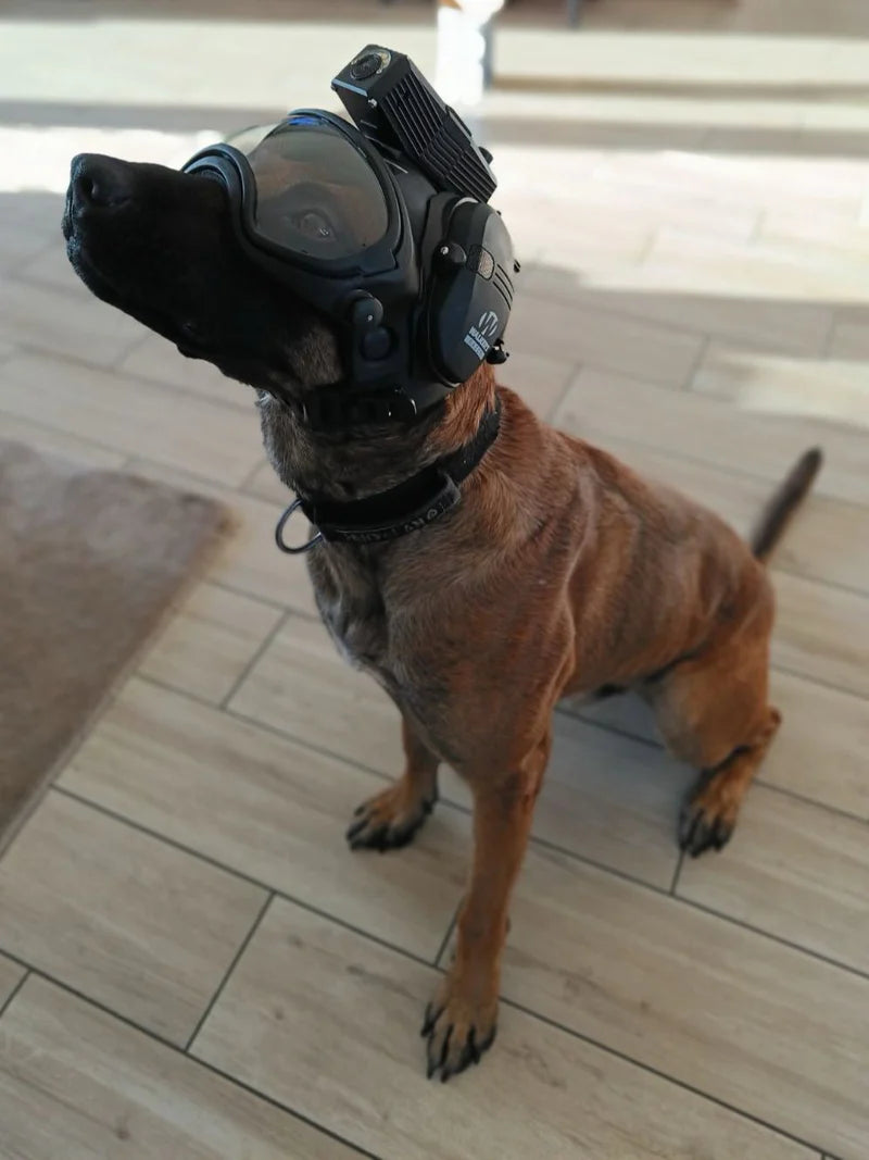 Special Sale DarkFighter K9 Camera