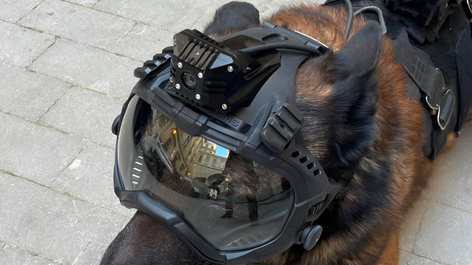 DarkMesh Max K9 Camera System