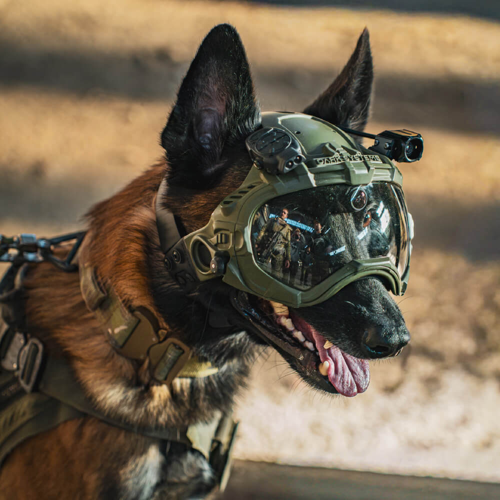 DarkFighter Built-In K9 Camera 2
