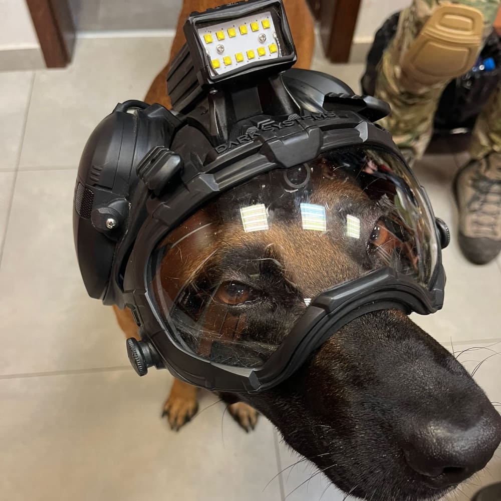 DarkFighter Built-In K9 Camera