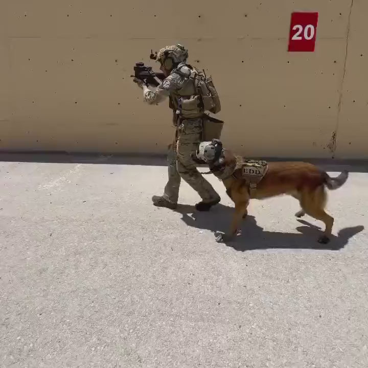Load video: