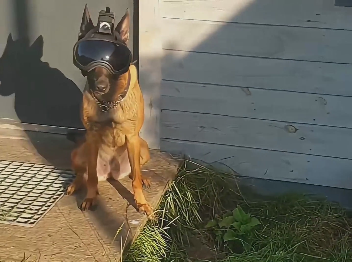 Load video:
