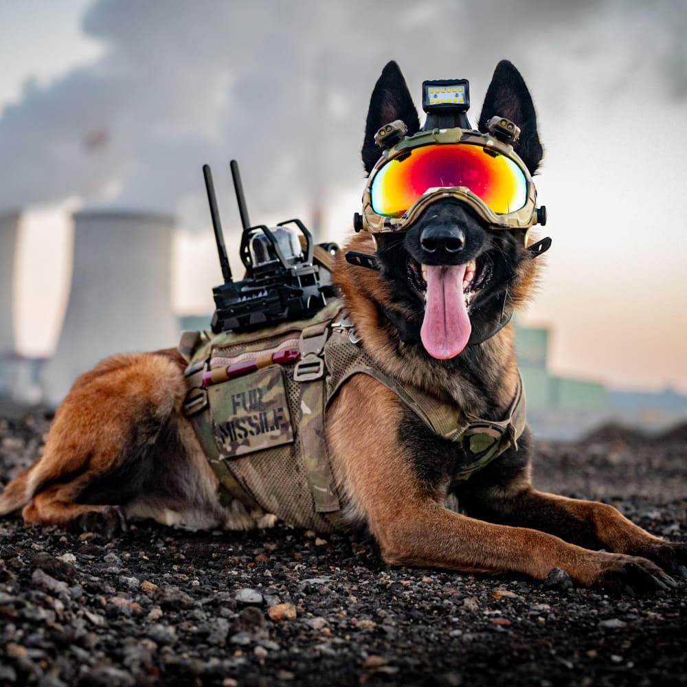 K9 Cameras