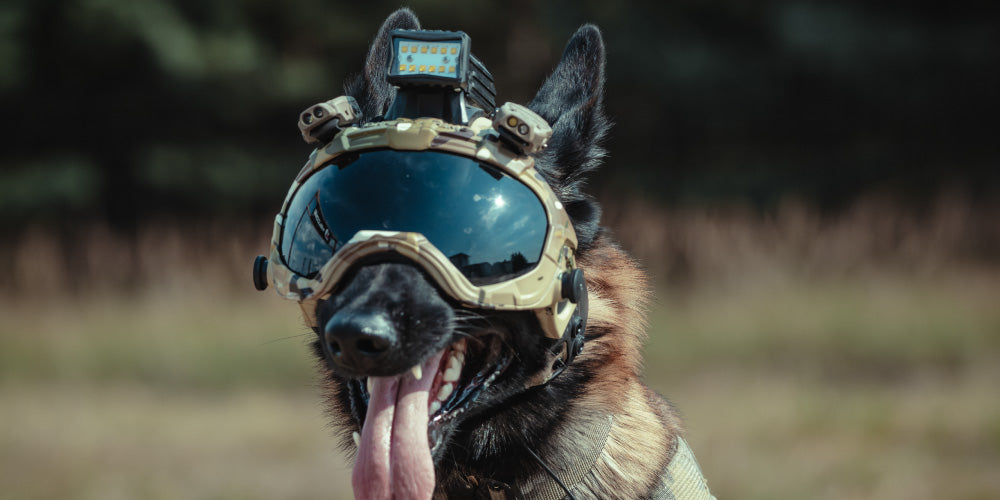 K9 Electronics