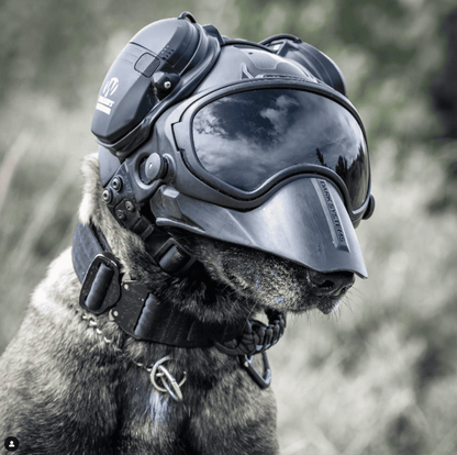 Black Friday - Black Combo 9 pieces