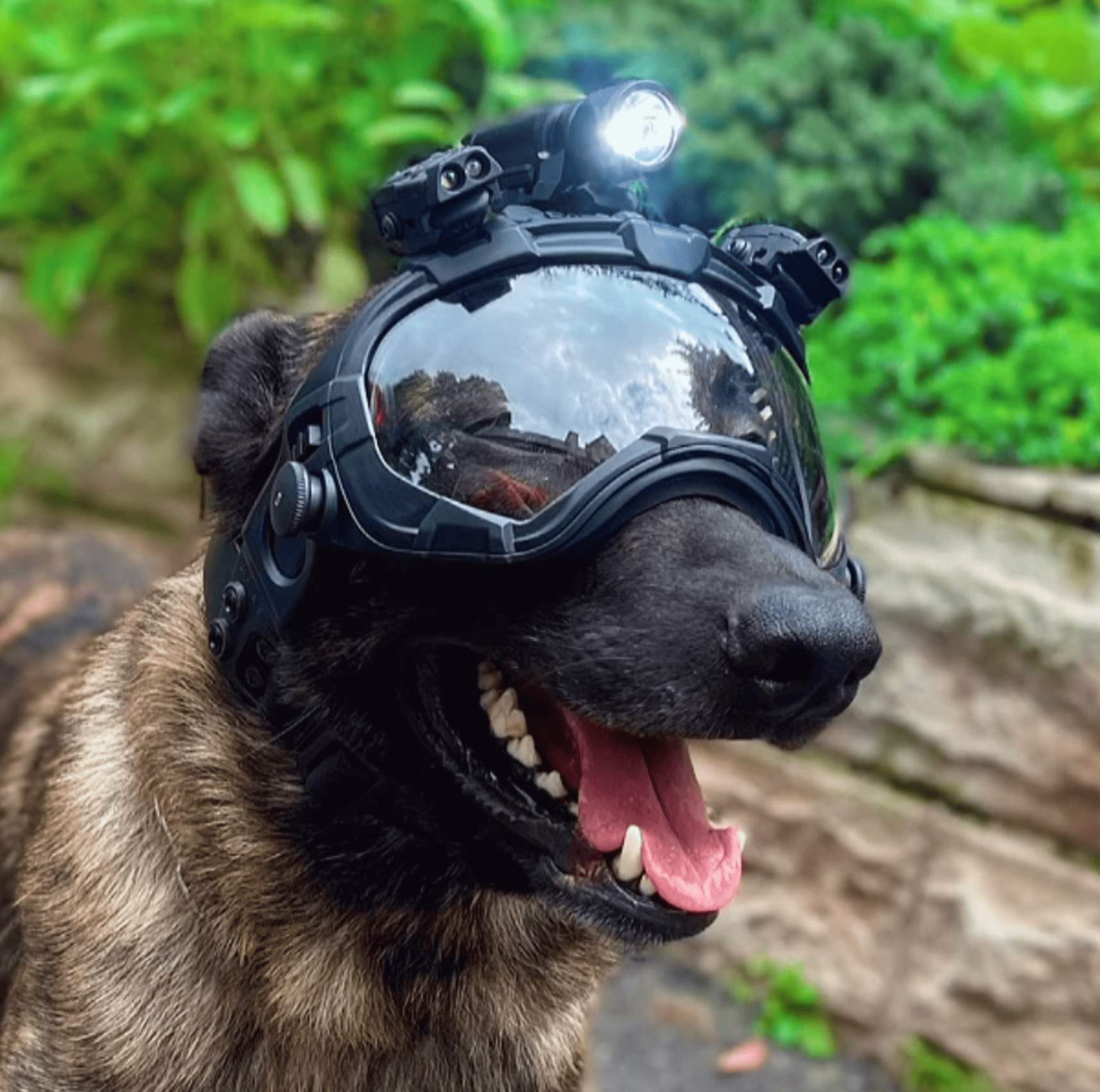 Black Friday - Black Combo 9 pieces