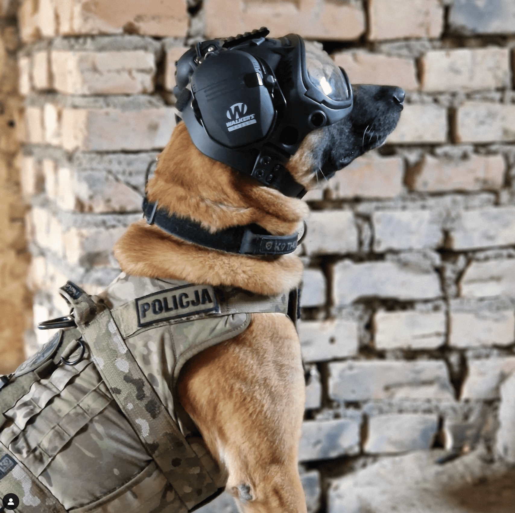 Black Friday - Black Combo 9 pieces