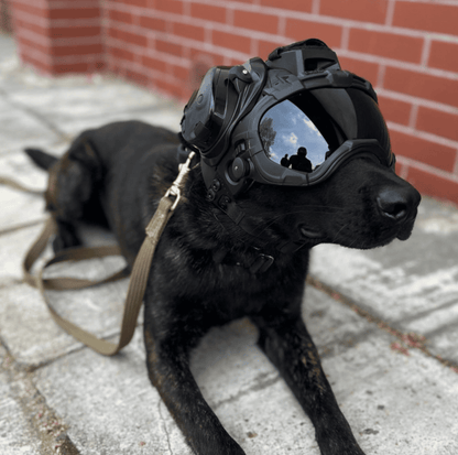 Black Friday - Black Combo 12 pieces