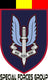 Insignia_SF_Gp_1-2.jpg