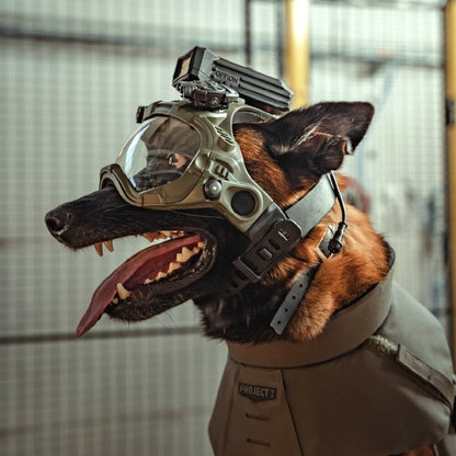 DarkFighter Built-In K9 Camera 2