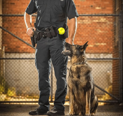 K9 Ball Holder