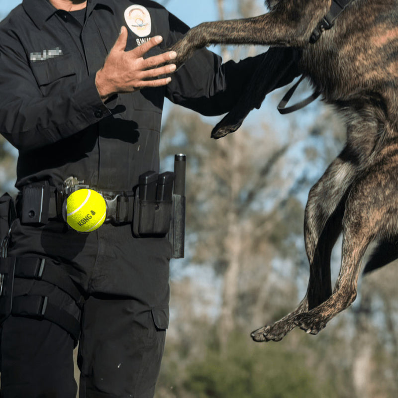 K9 Ball Holder – Dark Systems