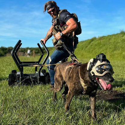 DarkFighter MOHOC Mount