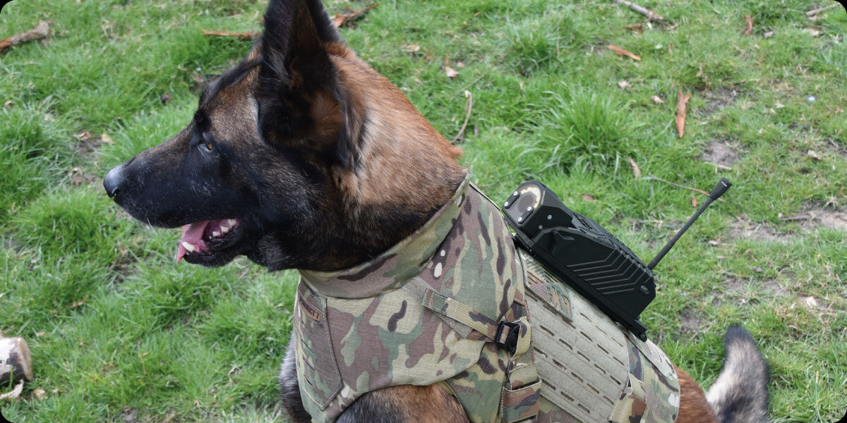 DarkFighter Pocket K9 Camera