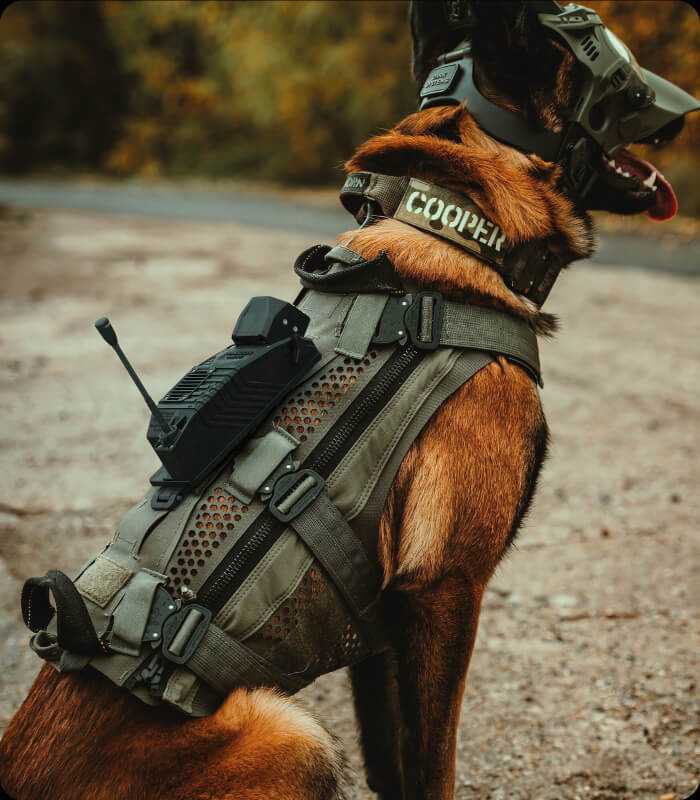 DarkFighter Pocket K9 Camera