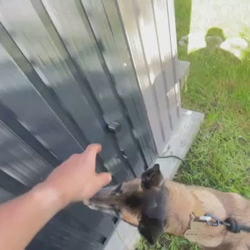 K9 SCENT VAULT