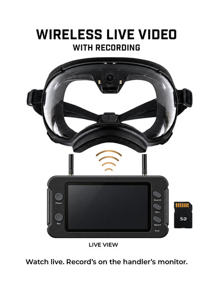 Rex Specs Built-In K9 Camera