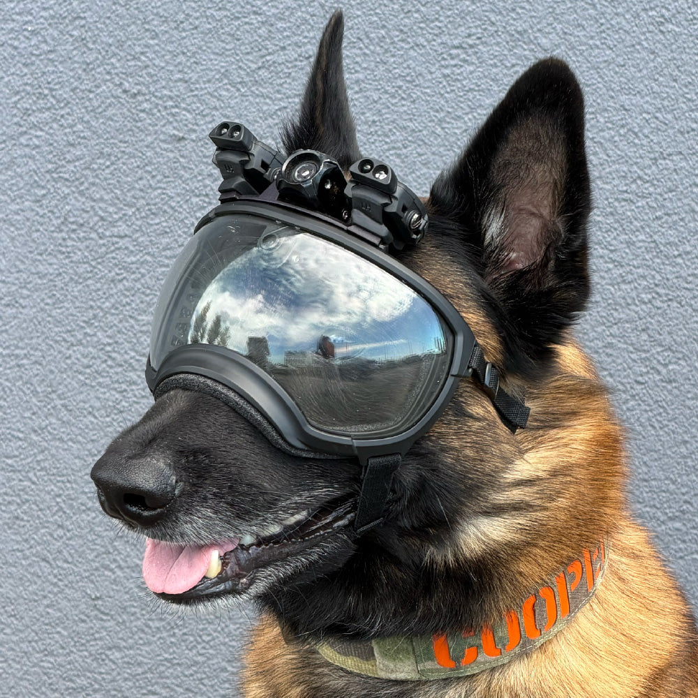 Rex Specs Built-In K9 Camera